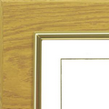 Oak/Gold Frame Featherlite Modular Office Plaque (11"x13 1/2")